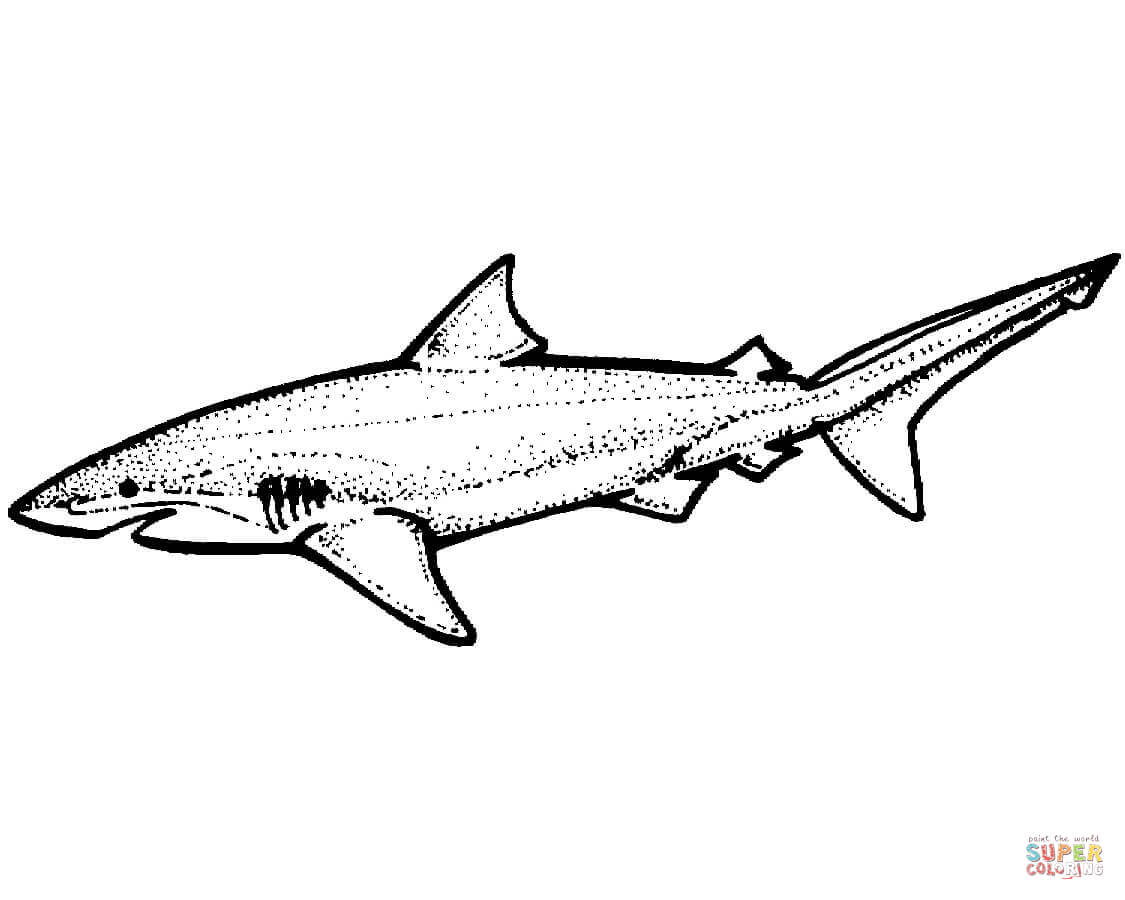 Lemon shark coloring page free printable coloring pages