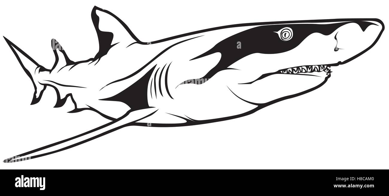 Shark fin cut stock vector images