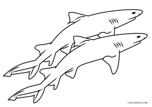 Dibujos de tiburãn para colorear