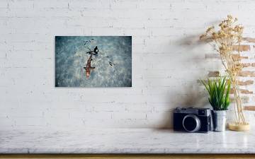 Tiburon limon poster by one ocean one breath