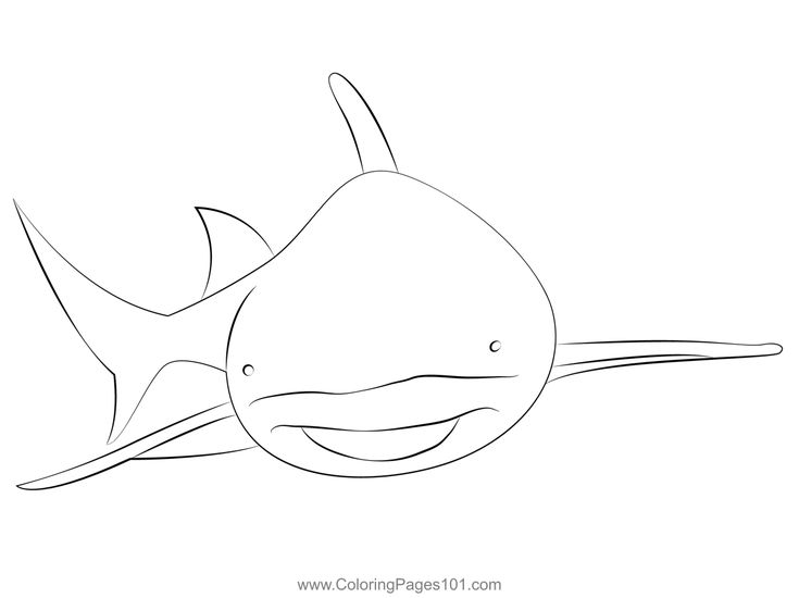 Lemon shark sharks coloring page shark coloring pages coloring pages printable coloring pages