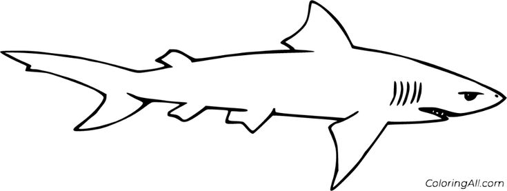 Free printable lemon shark coloring pages in vector format easy to print from any device and automatiâ shark coloring pages coloring pages fish coloring page
