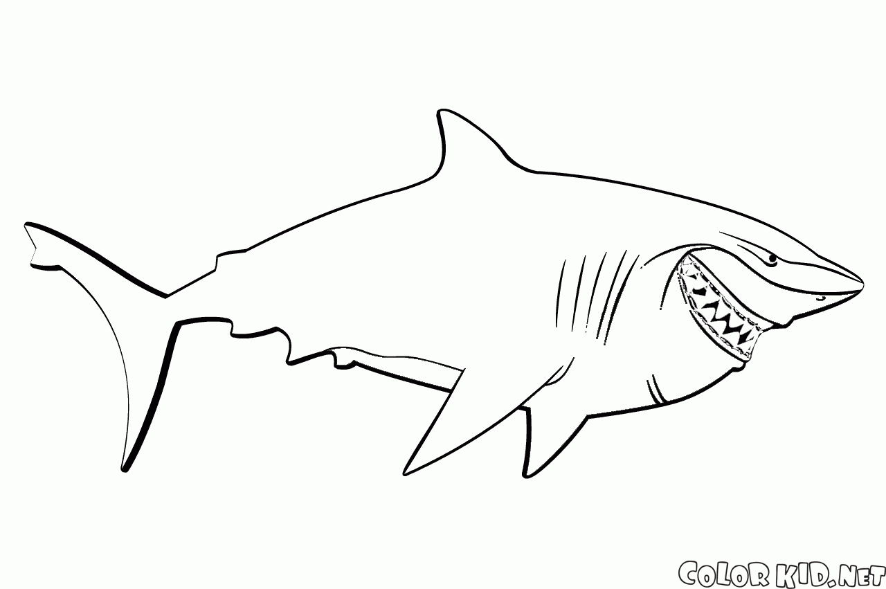 Coloring page