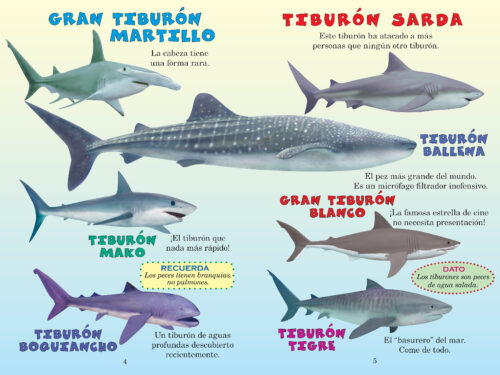 Quiãn ganarã tiburãn martillo vs tiburãn sarda who would win by jerry pallotta the teacher store