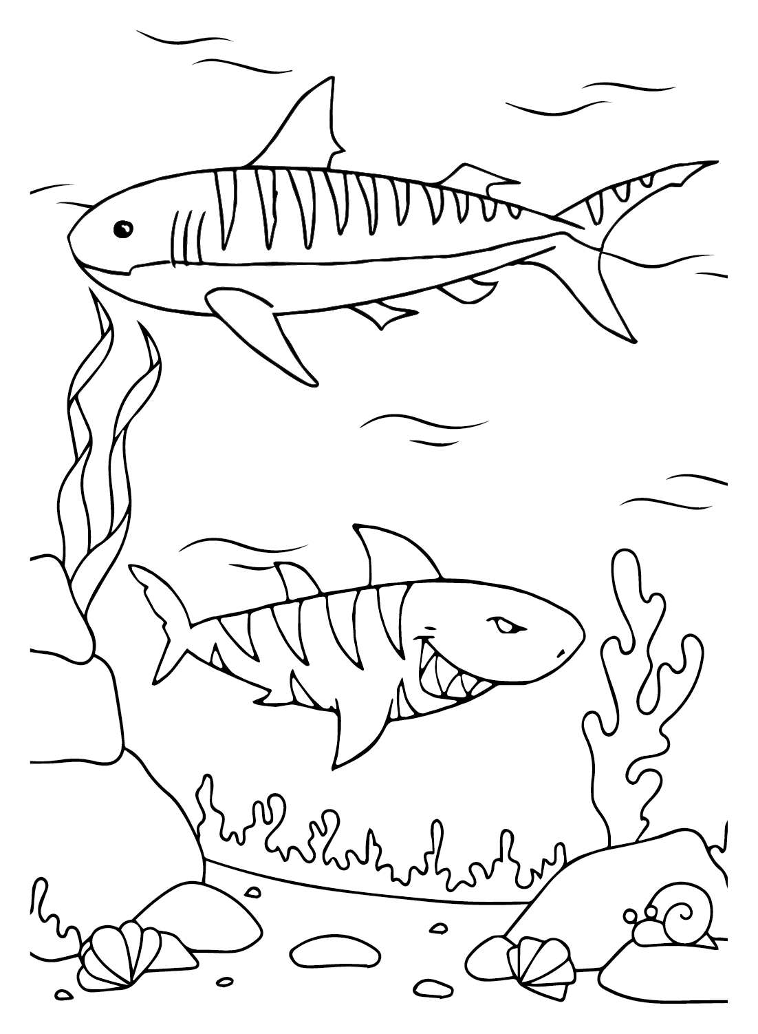 Free printable tiger shark coloring page