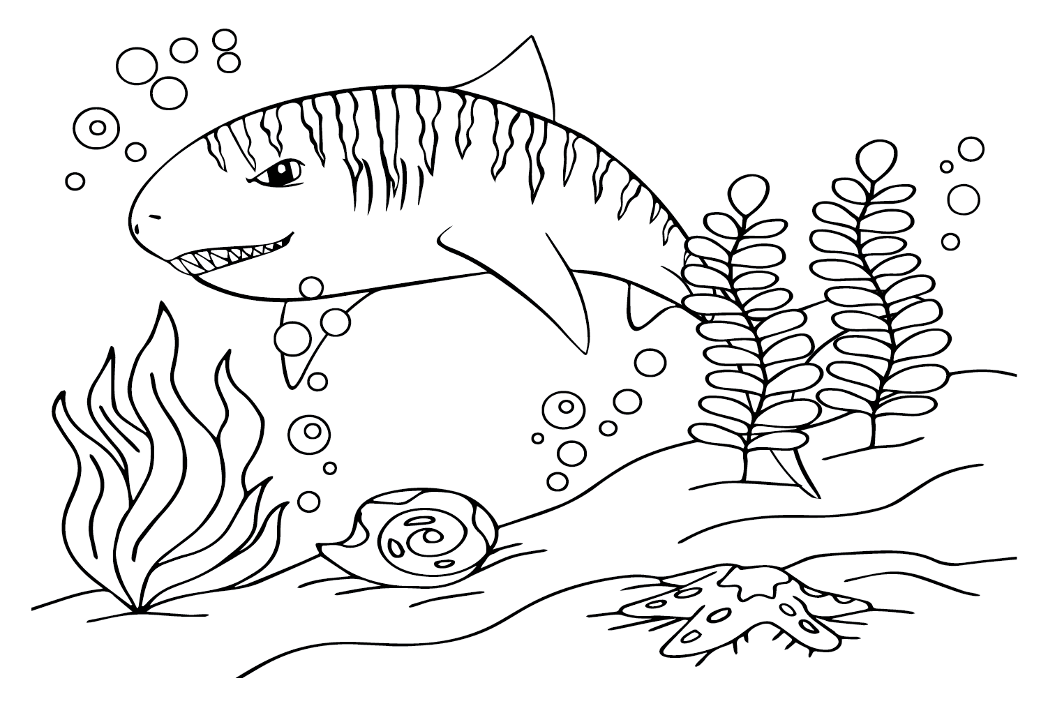 Big tiger shark coloring page