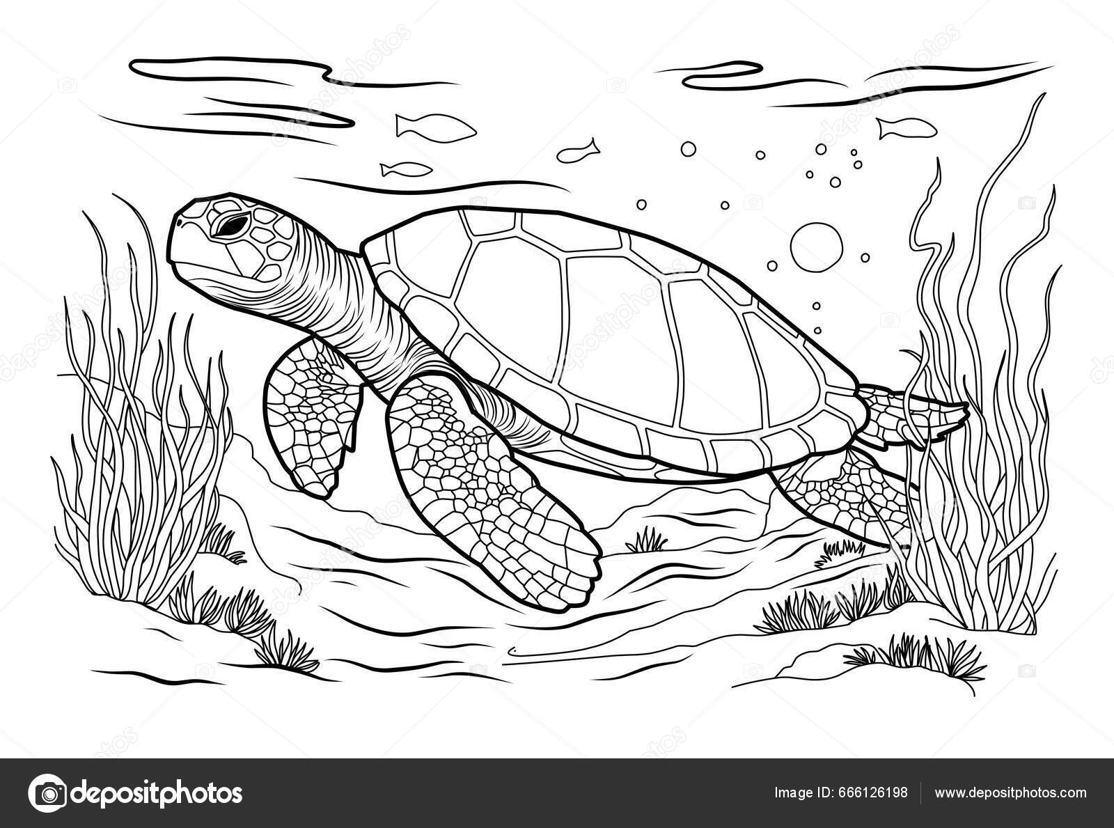 Gran tortuga marina lindos peces rayas mundo submarino con algas vector de stock por bosonya