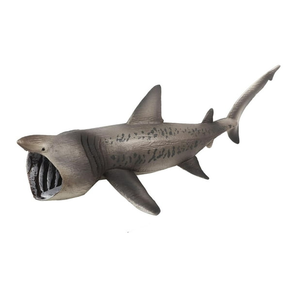 Realistic basking sharks model cognitive early learning marine creatures figures