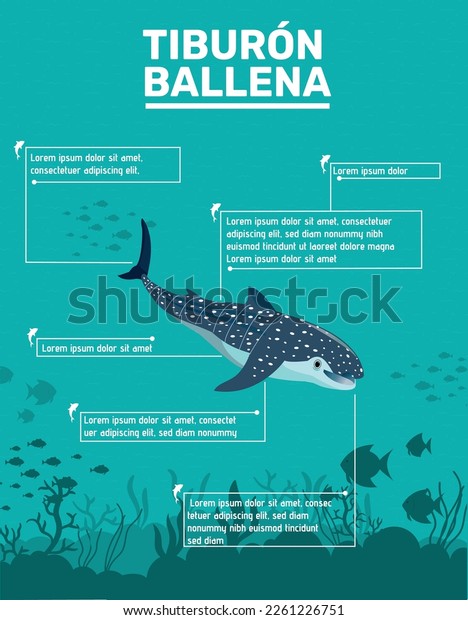 Infographic sharks photos and images pictures