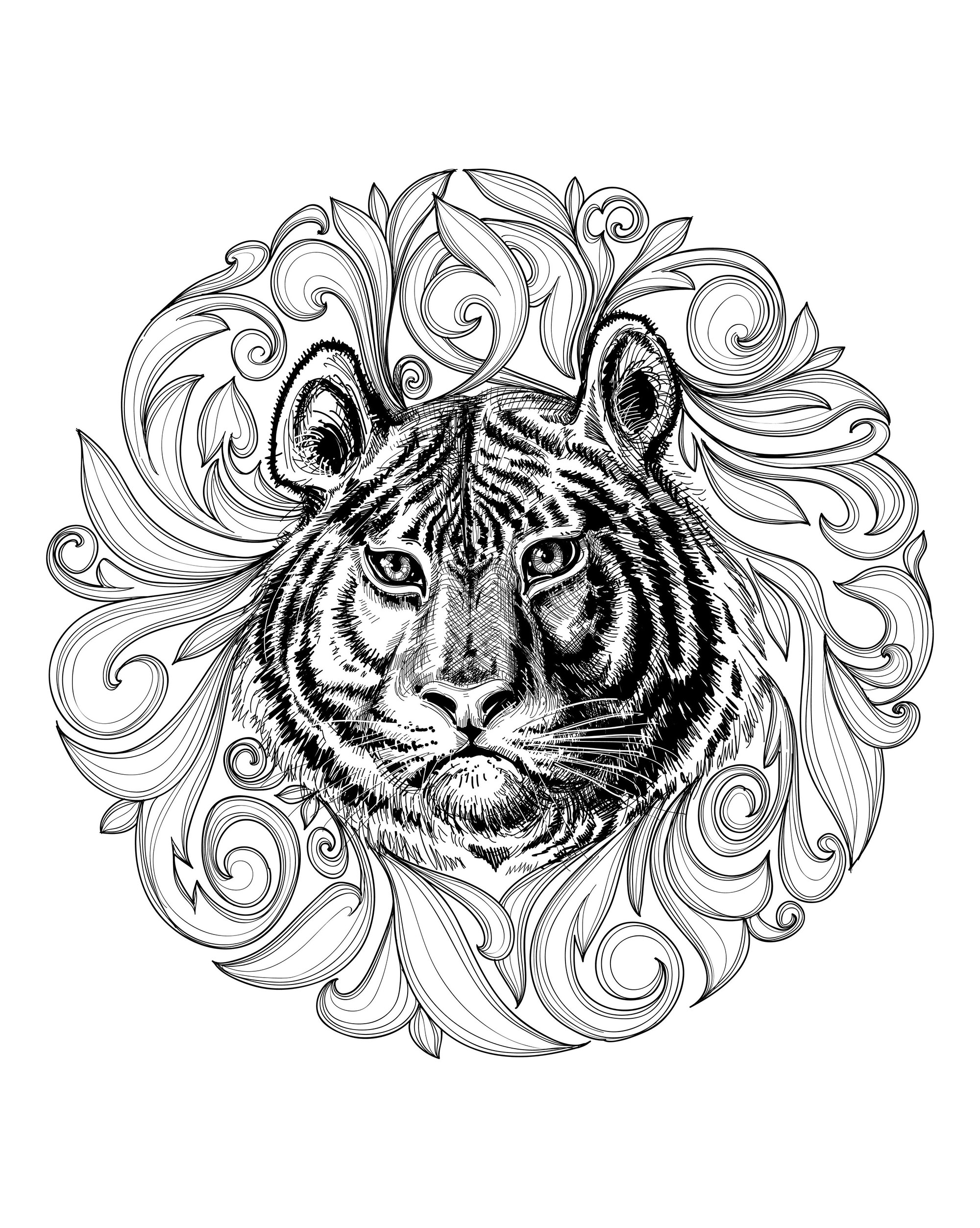 Tiger leaves framework