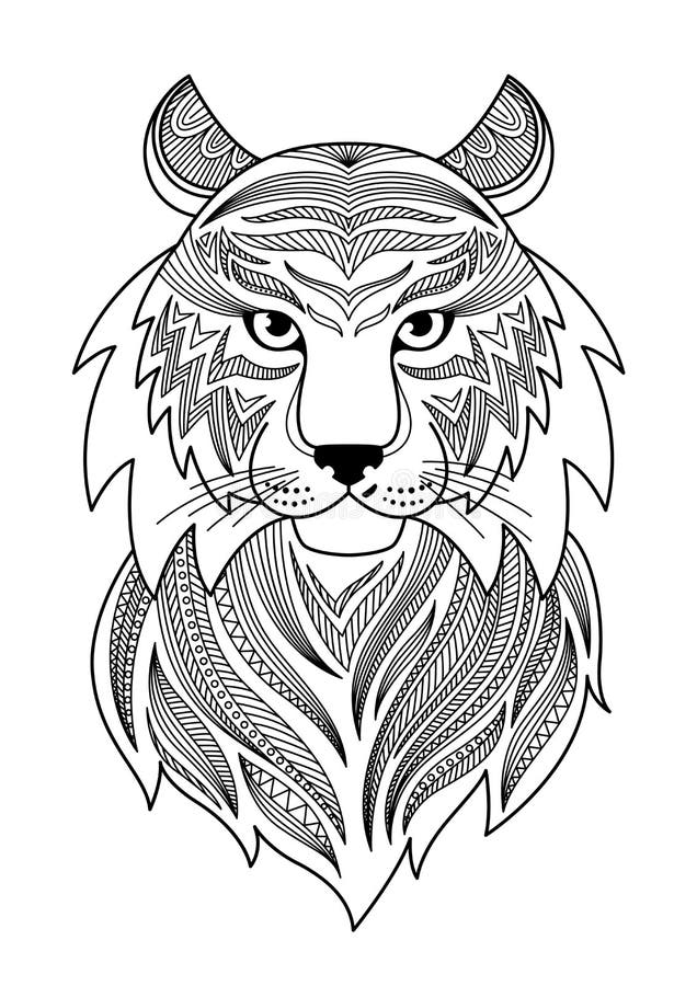Adult coloring tiger stock illustrations â adult coloring tiger stock illustrations vectors clipart