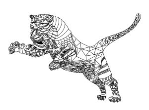 Tigers