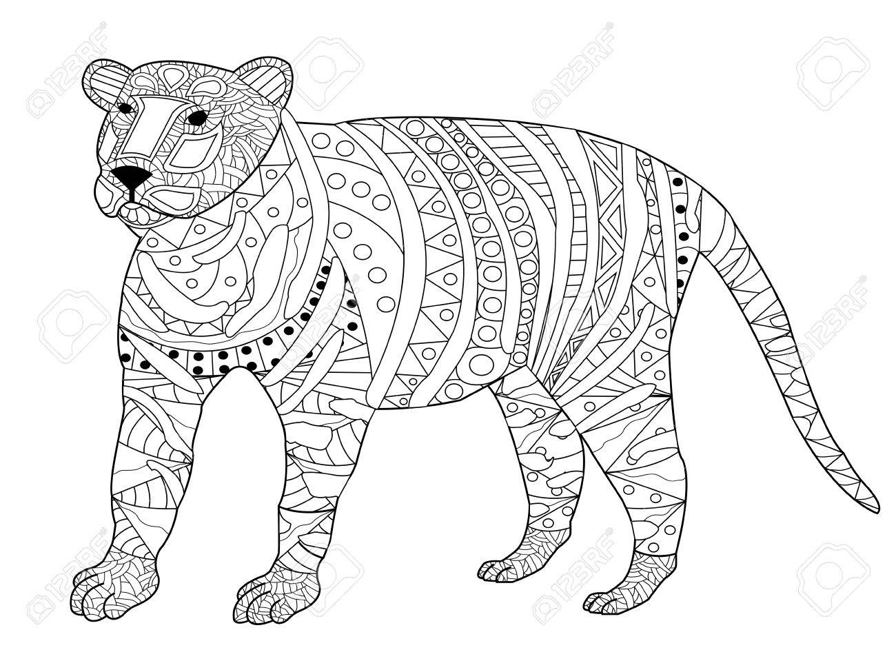 Tiger coloring book for adults vector illustration anti