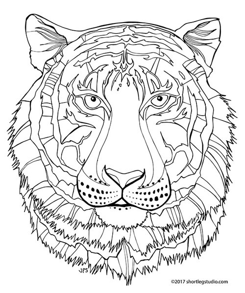 Flora and fauna coloring sheets â short leg studio