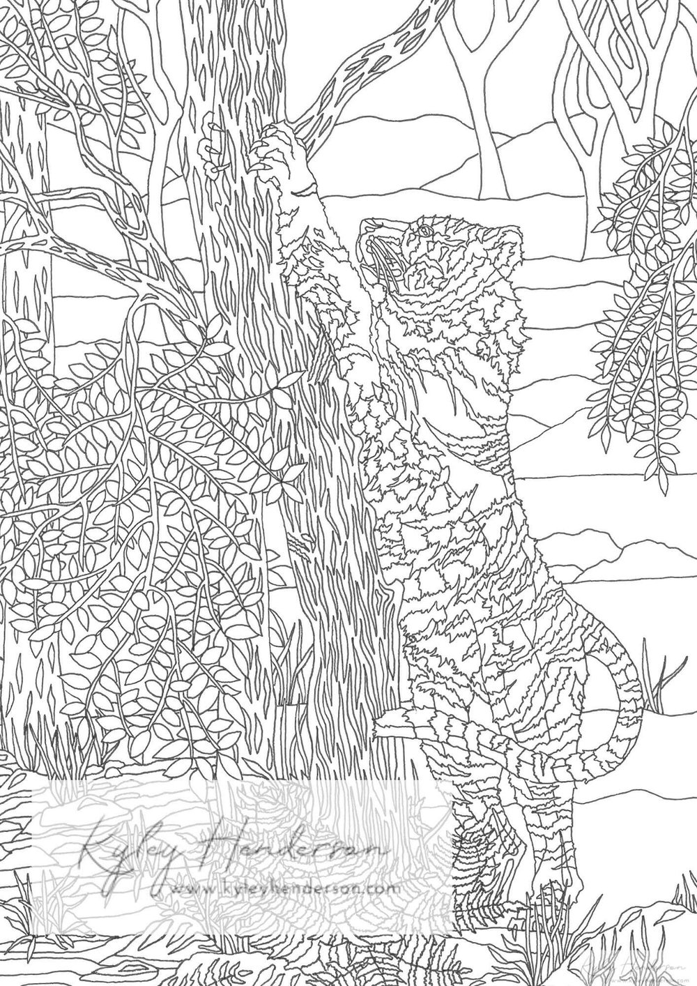 Siberian tiger adult coloring pages tiger coloring pages endangered species coloring book pages â kyley henderson art