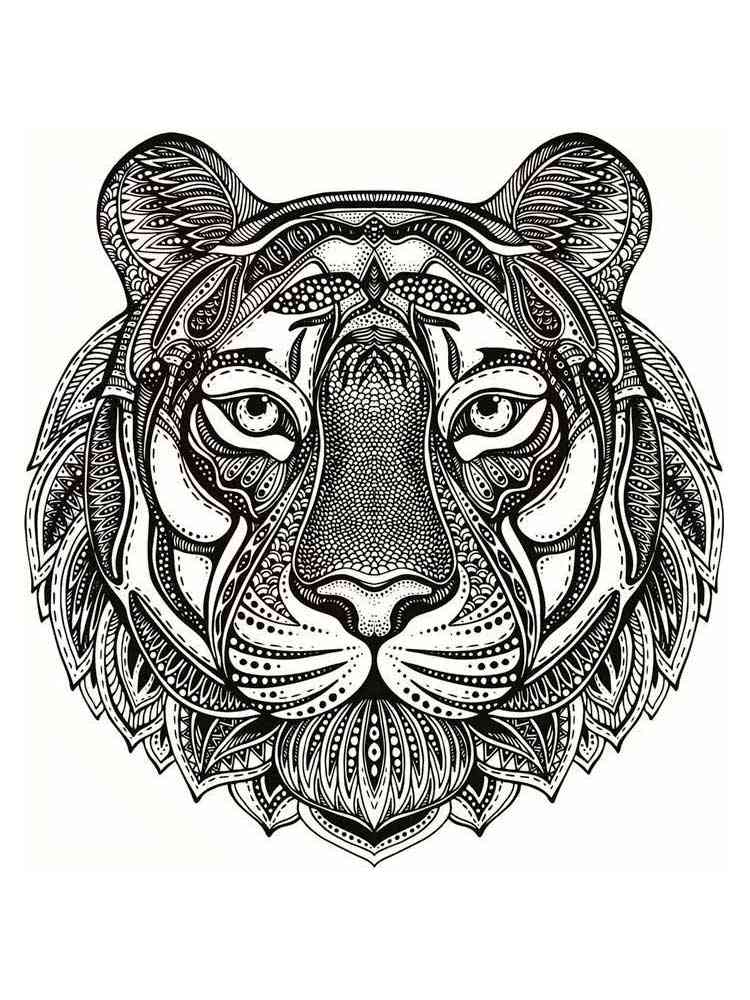 Tiger coloring pages for adults