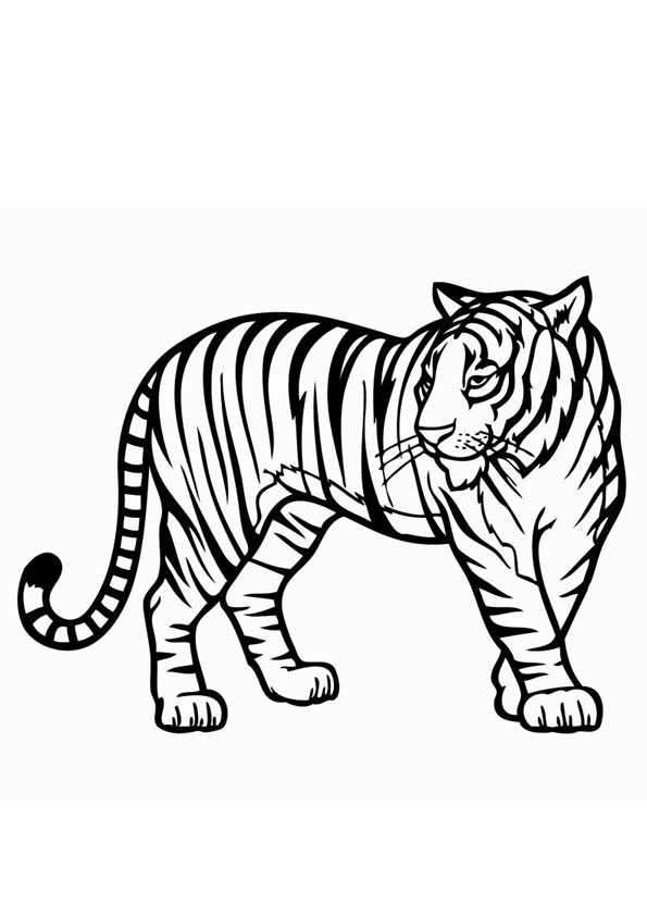 Coloring pages tiger coloring page for kids