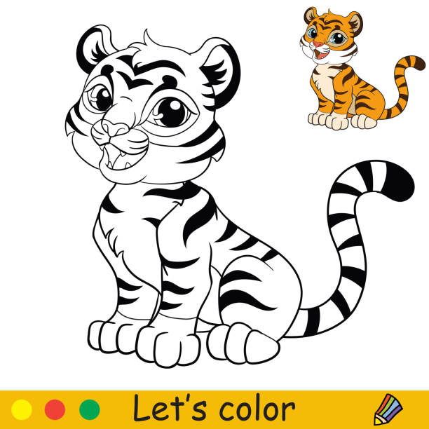 Tiger coloring stock photos pictures royalty