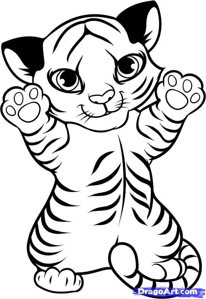 Coloring pages of cute baby tigers