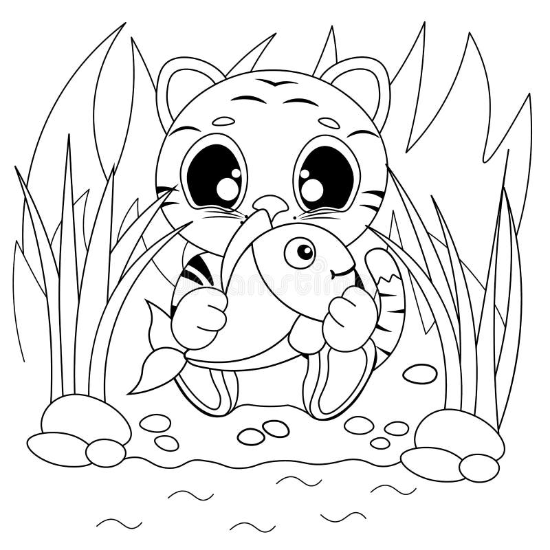 Vector coloring pages with cute tiger cub catches fish cartoon contour illustration isolated on white background stock illustration