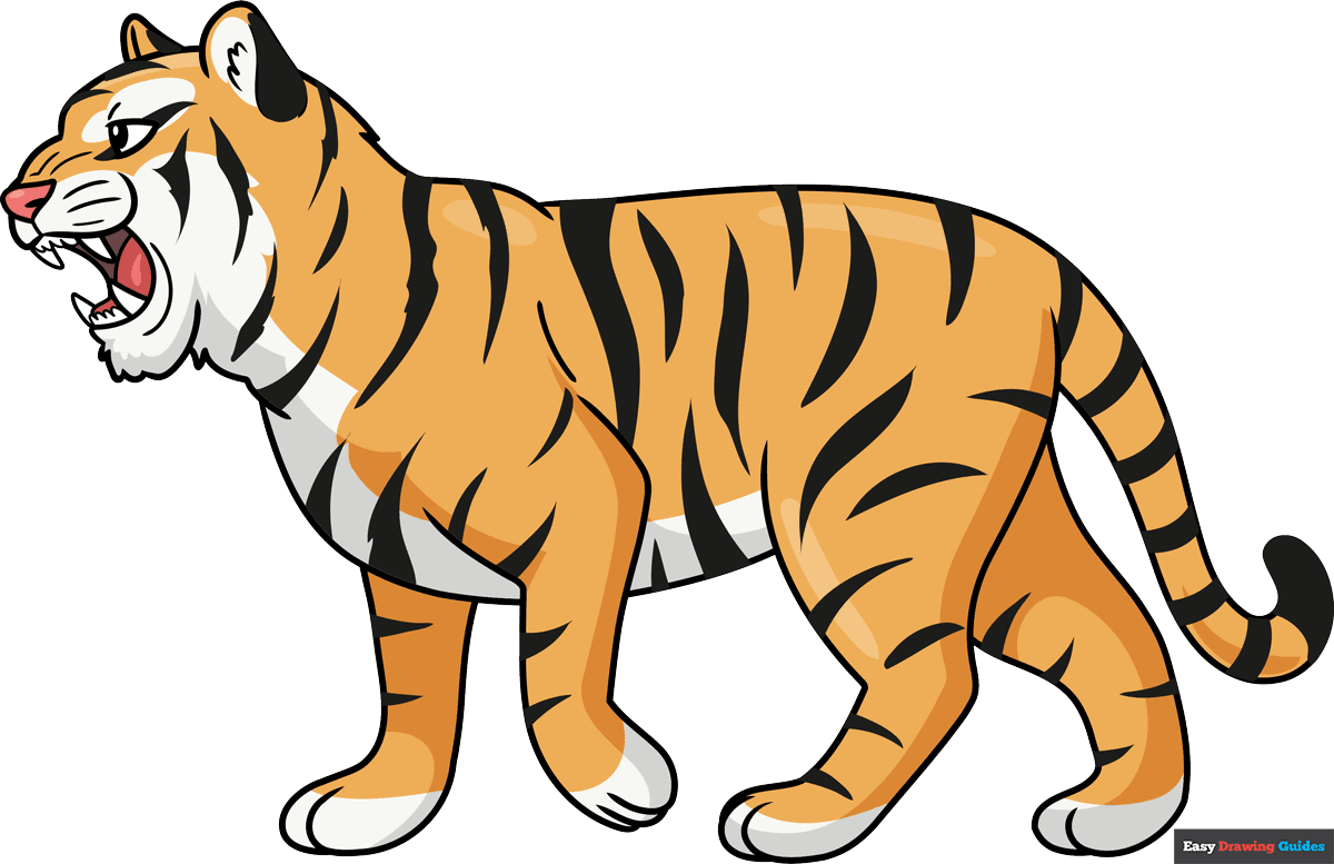 How to draw a tiger roaring
