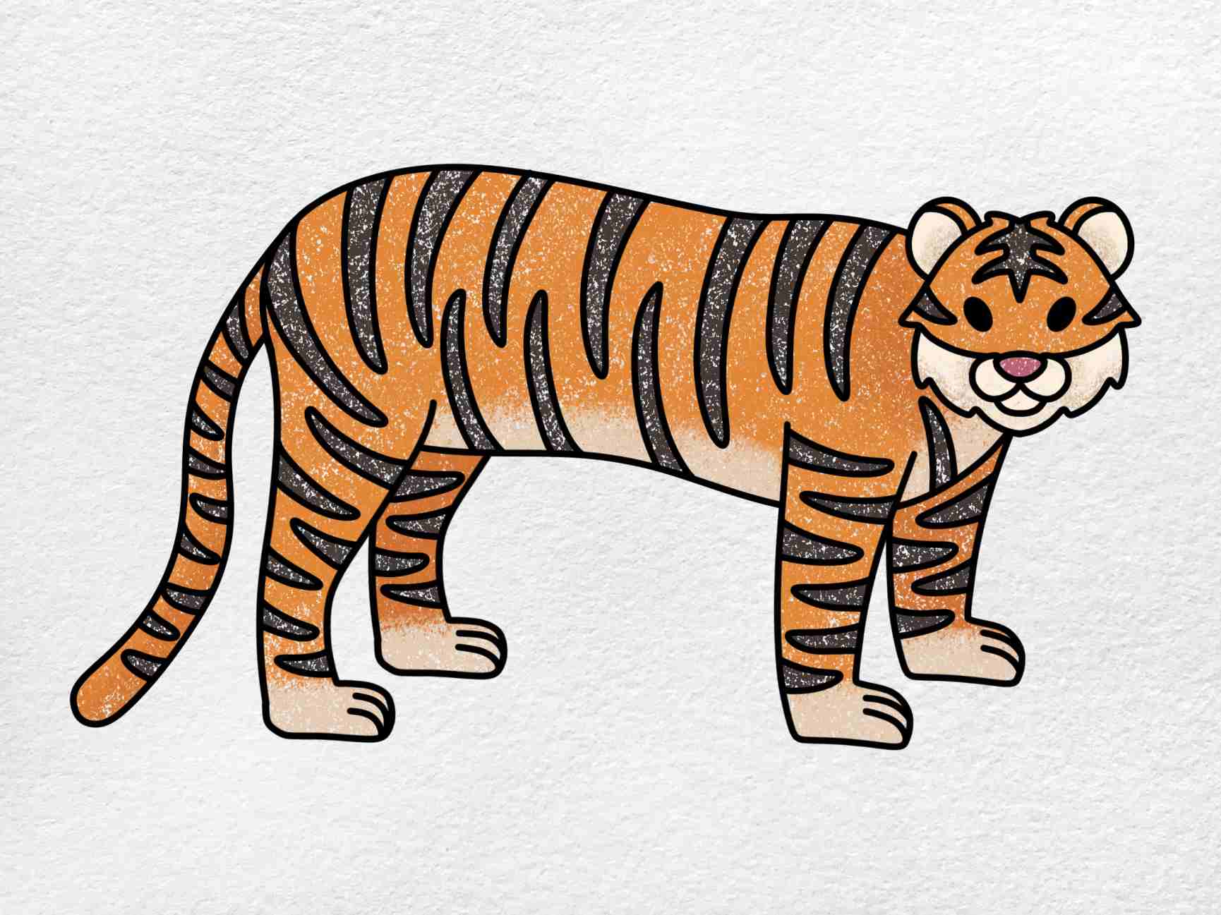 Tiger drawing for kids