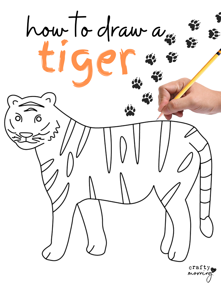 How to draw a tiger step by step