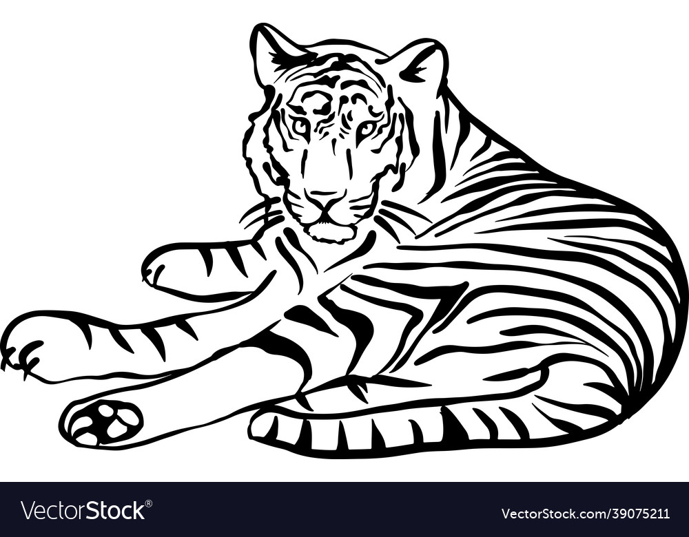 Tiger black and white simple sketch royalty free vector