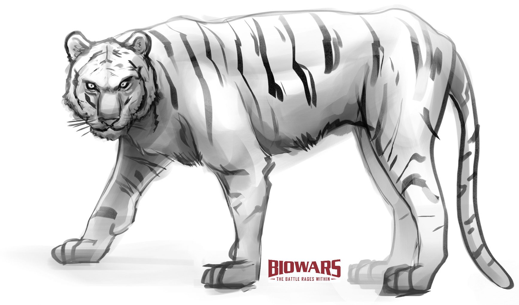 Tiger drawing in easy steps video images