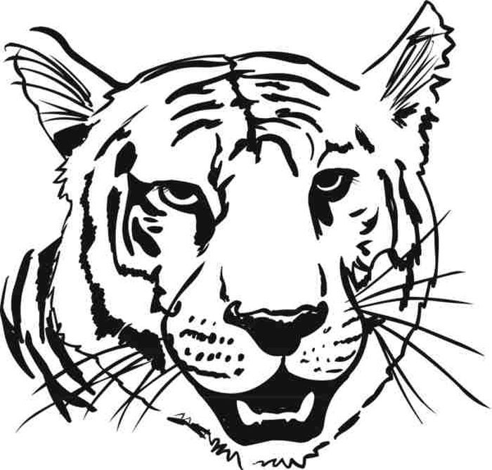 Tiger head coloring pages animal coloring pages tiger face dog coloring page