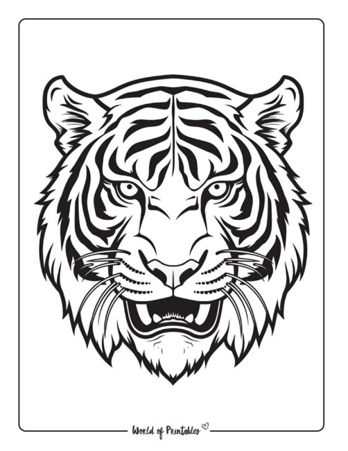 Tiger coloring pages for kids adults