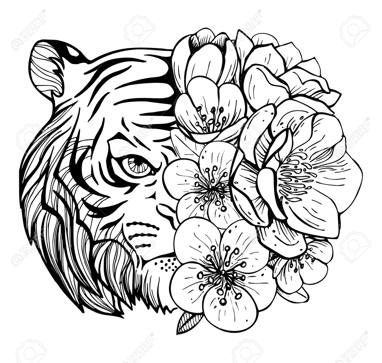 Colouring pictures with a tiger and flower art therapy coloring page for adults and children stock photo picture and royalty free image image