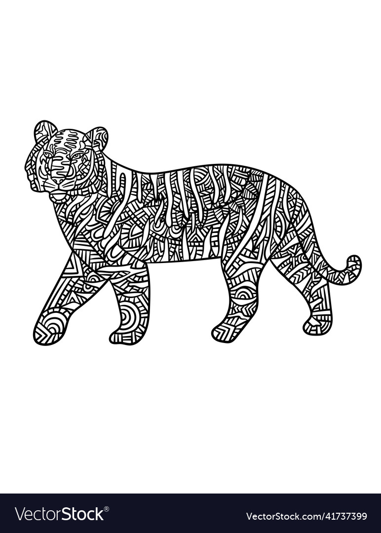 Tiger mandala coloring pages for adults royalty free vector