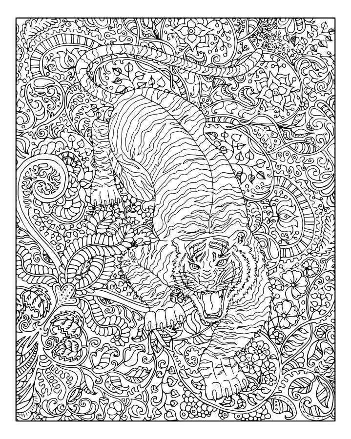 Adult coloring tiger stock illustrations â adult coloring tiger stock illustrations vectors clipart