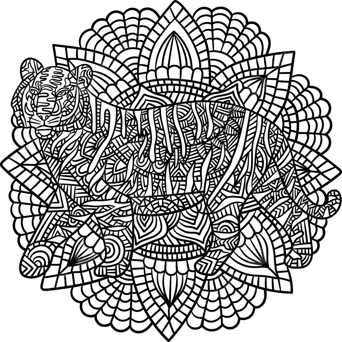 Tiger mandala coloring pages for adults colour silhouette colouring book vector colour silhouette colouring book png and vector with transparent background for free download