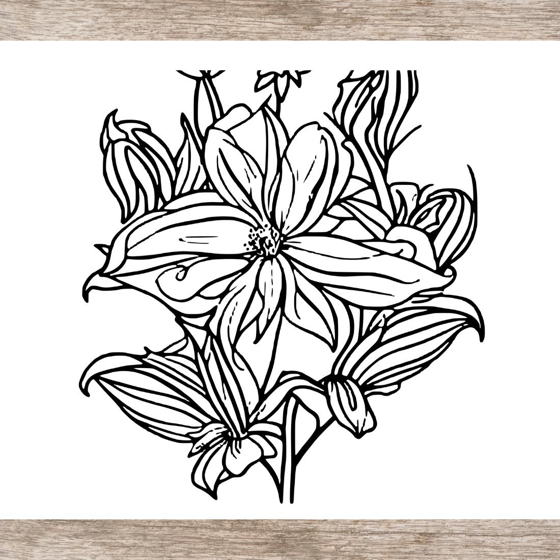 Flower drawing floral coloring pages bundle for adults svg and png for kdp low content self