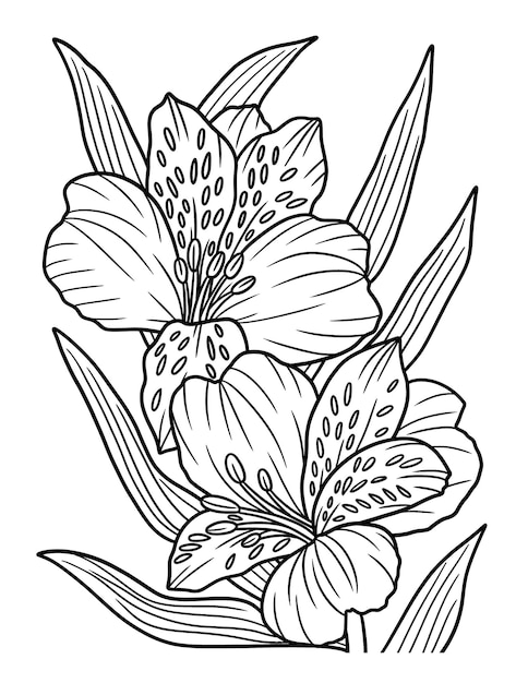 Page coloring pages images
