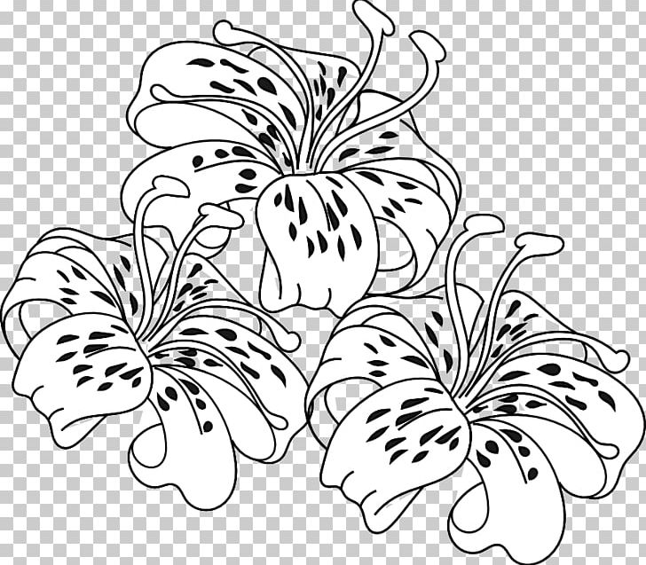 Tiger lily easter lily coloring book flower png clipart arumlily black and white child colored pencil