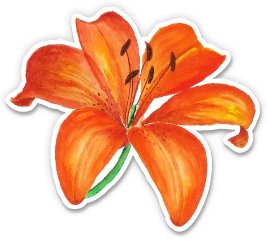 Gt graphics express tiger lily