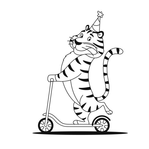 Tiger outline drawing pictures stock illustrations royalty