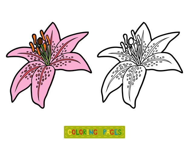 Premium vector coloring book for children flower lily