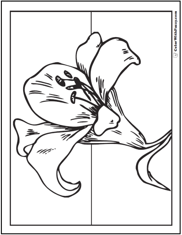 Lily coloring pages â fun interactive notebook pdf printables