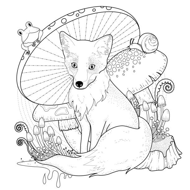 Drawing of frog coloring pages stock illustrations royalty