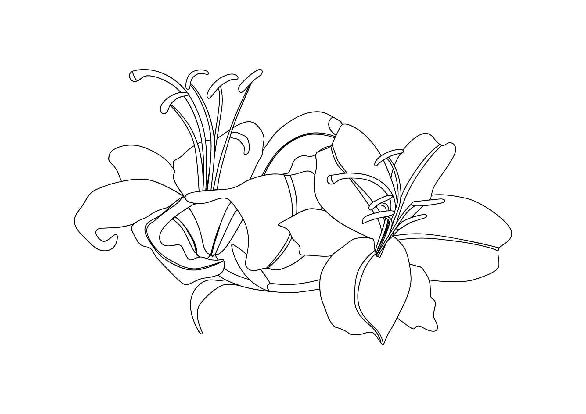 Best free printable coloring pages easter lilies pdf for free at