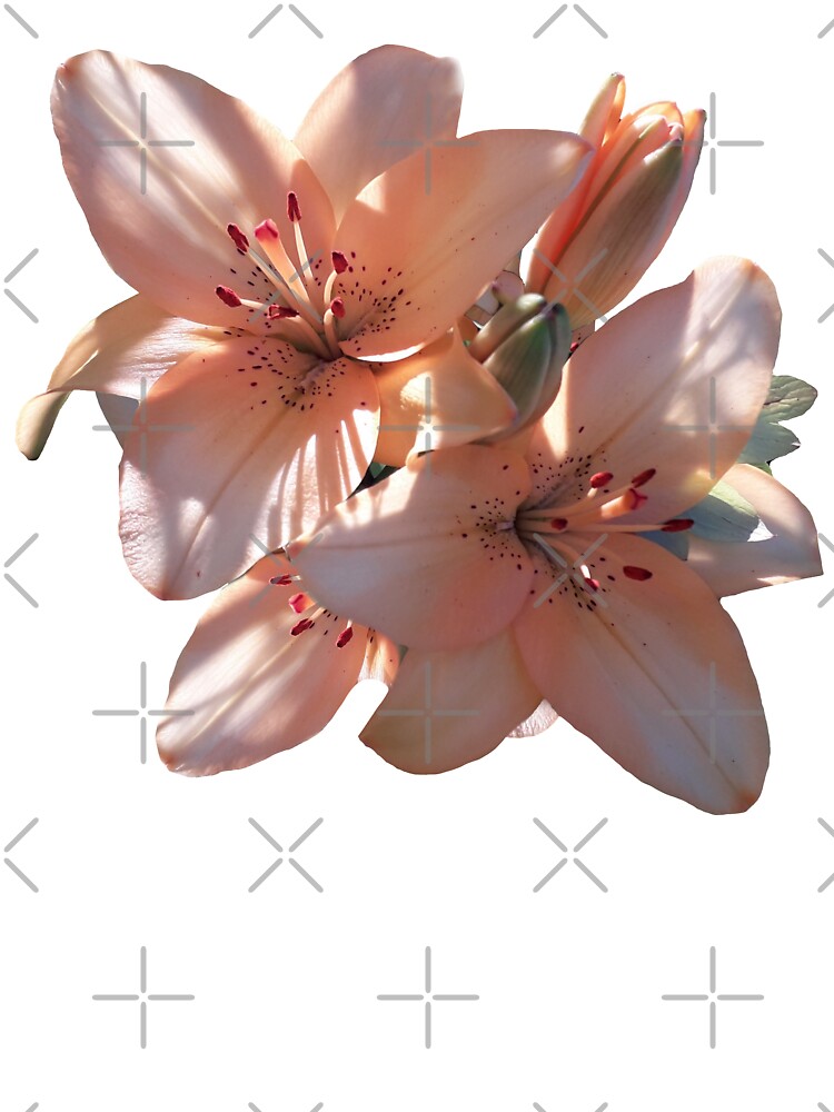 Tiger lily kids t
