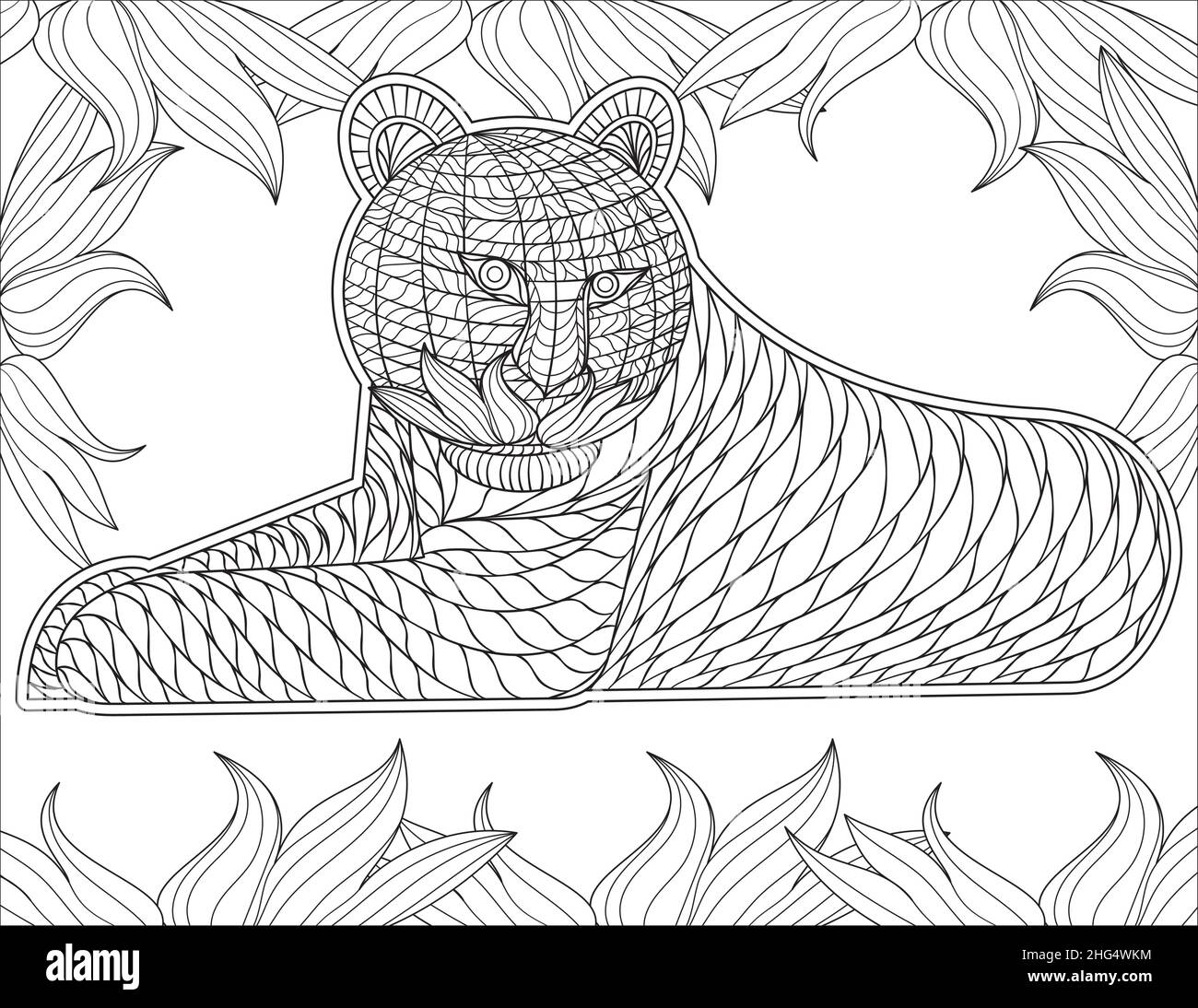 Tiger drawing child black and white stock photos images