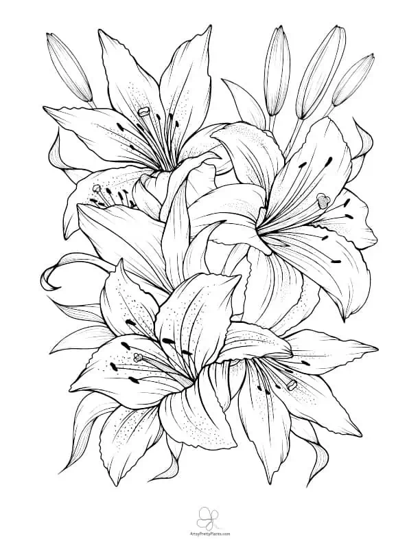 Best flower coloring sheets for free