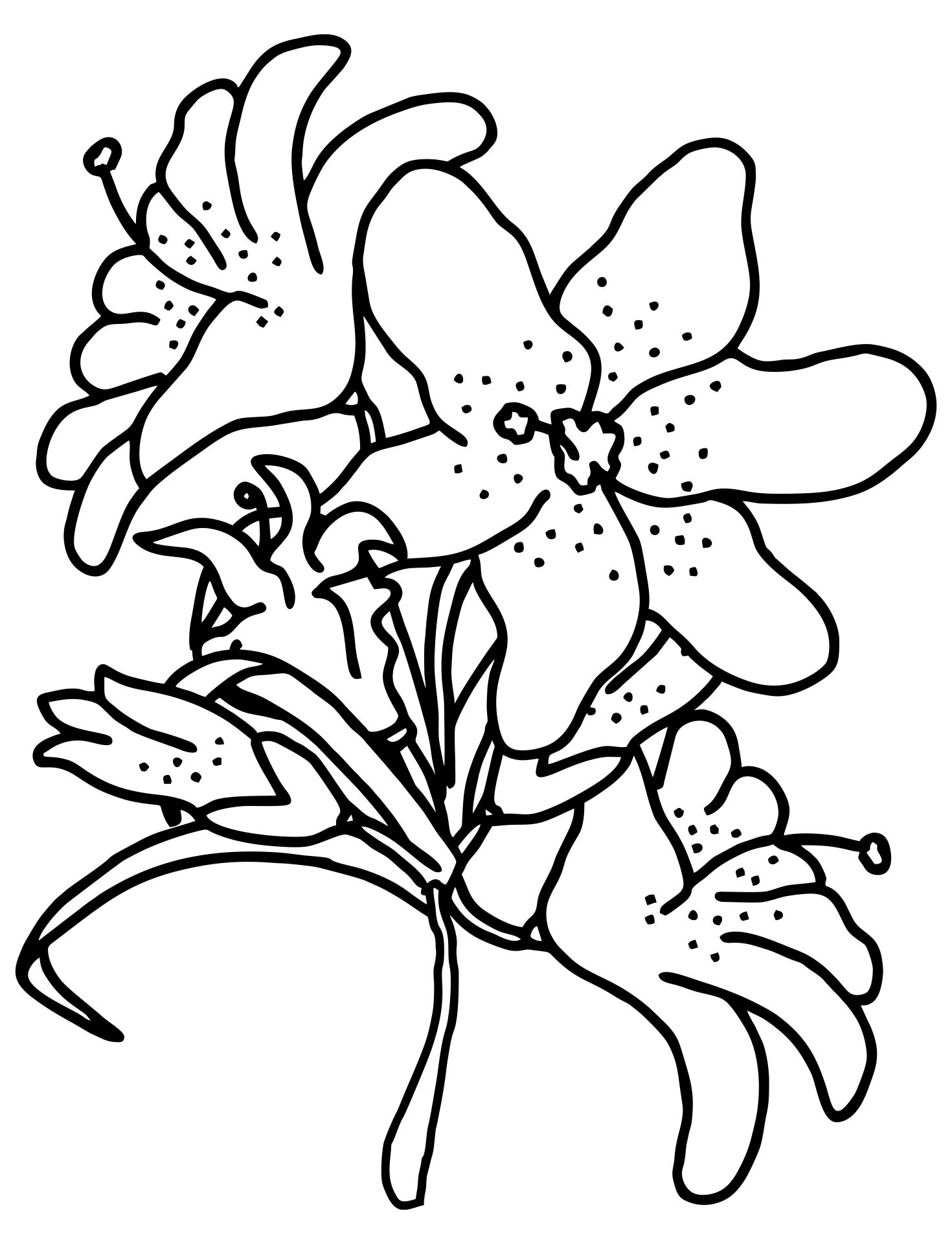 Best free printable coloring pages easter lilies pdf for free at