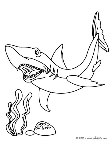 Tiger shark coloring pages