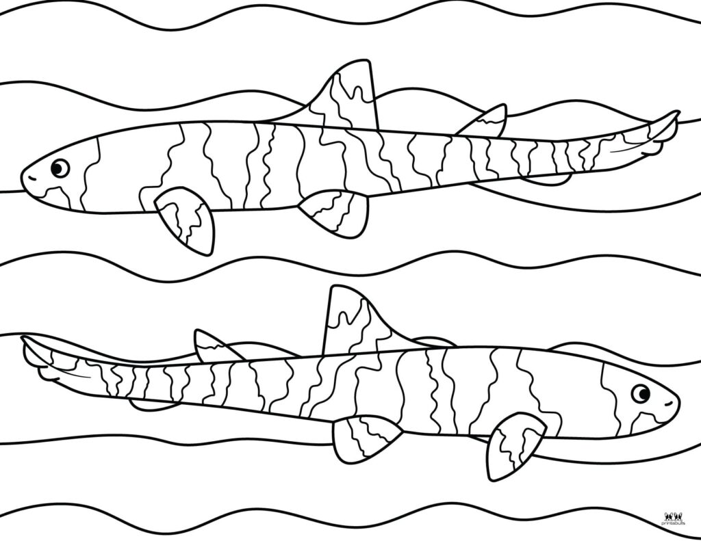 Shark coloring pages